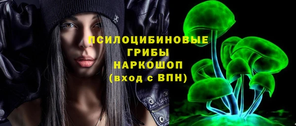 молекула духа Видное