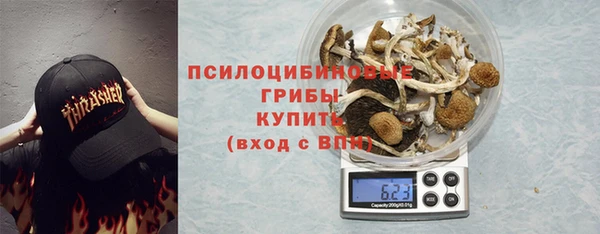 бошки Новозыбков