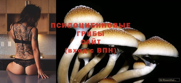 мефедрон Новодвинск