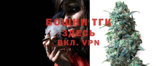 бошки Новозыбков