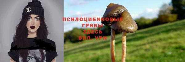 бошки Новозыбков