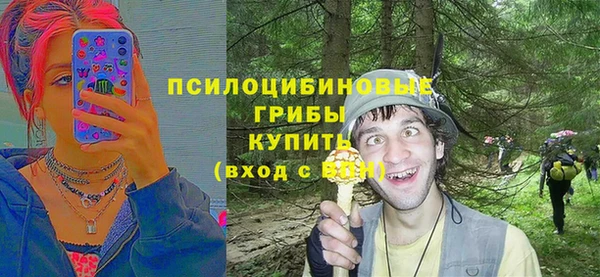 молекула духа Видное