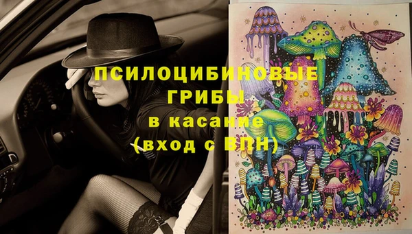 бошки Новозыбков