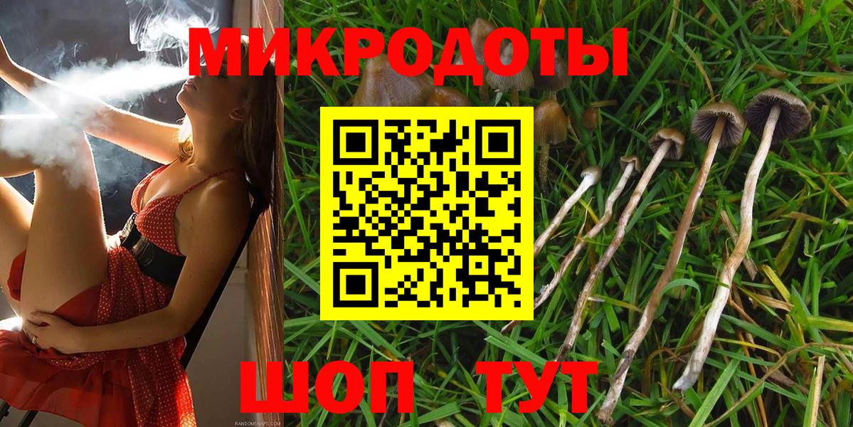 Галлюциногенные грибы ЛСД Амурск