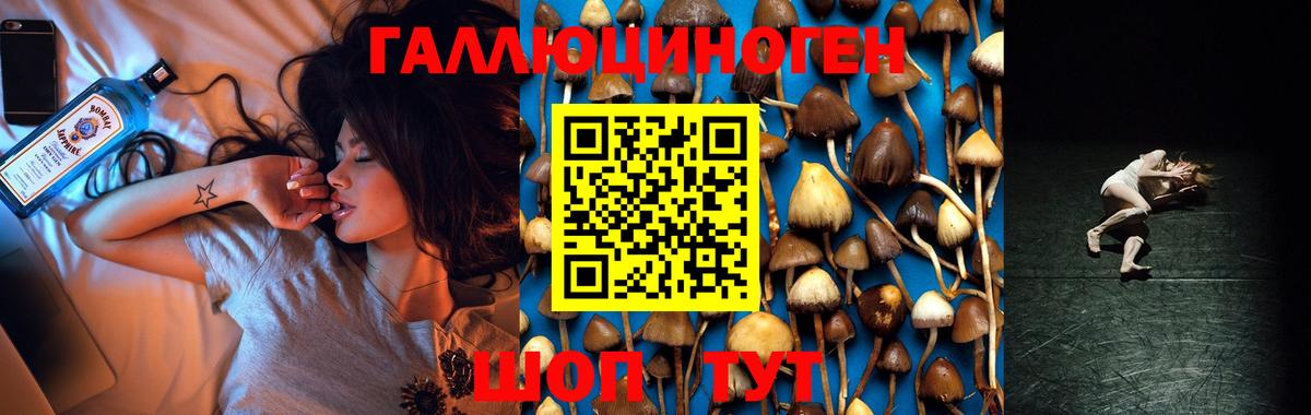 Галлюциногенные грибы MAGIC MUSHROOMS Амурск